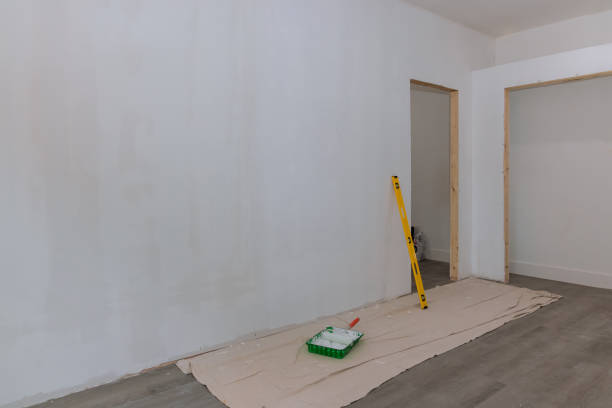 Professional Painting & Drywall Services in St Elmo, IL